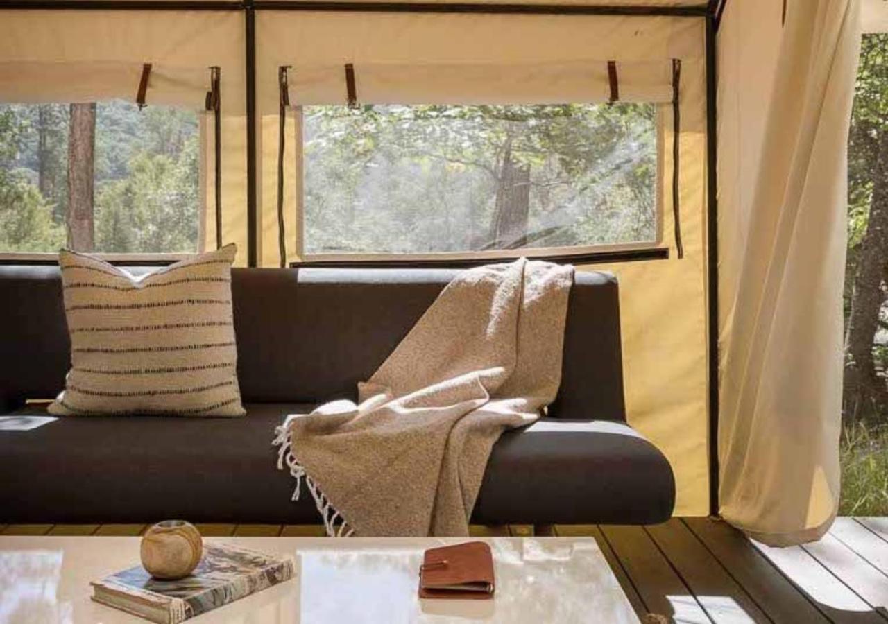 AutoCamp Catskills Saugerties Eksteriør billede